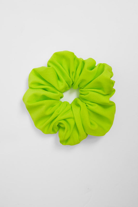  Swimming Scrunchies & Hair Ties - Gecko